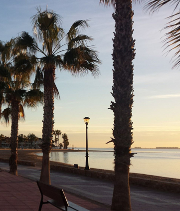 playa_los_narejos_def
