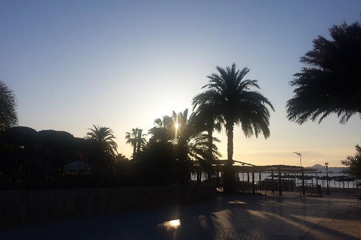 Playa de las palmeras