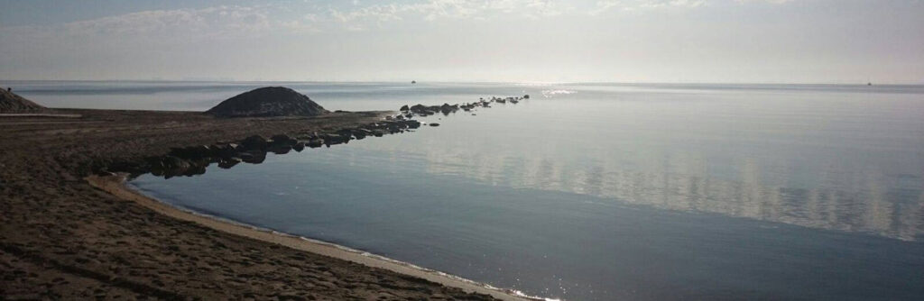 Playa de los narejos