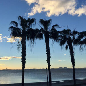 Playa del Espejo