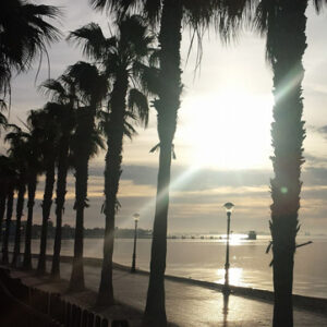 Playa de las Palmeras